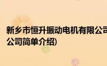 新乡市恒升振动电机有限公司(对于新乡市恒升振动电机有限公司简单介绍)