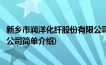 新乡市润洋化纤股份有限公司(对于新乡市润洋化纤股份有限公司简单介绍)