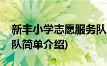 新丰小学志愿服务队(对于新丰小学志愿服务队简单介绍)