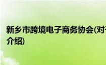 新乡市跨境电子商务协会(对于新乡市跨境电子商务协会简单介绍)