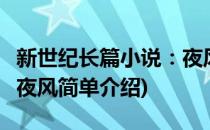 新世纪长篇小说：夜风(对于新世纪长篇小说：夜风简单介绍)