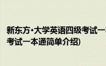 新东方·大学英语四级考试一本通(对于新东方·大学英语四级考试一本通简单介绍)