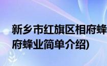 新乡市红旗区相府蜂业(对于新乡市红旗区相府蜂业简单介绍)