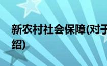 新农村社会保障(对于新农村社会保障简单介绍)