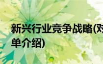 新兴行业竞争战略(对于新兴行业竞争战略简单介绍)