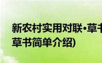 新农村实用对联·草书(对于新农村实用对联·草书简单介绍)