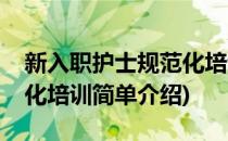 新入职护士规范化培训(对于新入职护士规范化培训简单介绍)