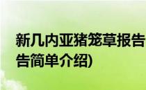 新几内亚猪笼草报告(对于新几内亚猪笼草报告简单介绍)