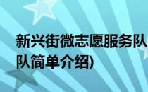 新兴街微志愿服务队(对于新兴街微志愿服务队简单介绍)