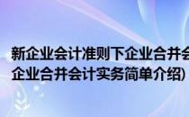 新企业会计准则下企业合并会计实务(对于新企业会计准则下企业合并会计实务简单介绍)