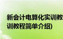 新会计电算化实训教程(对于新会计电算化实训教程简单介绍)