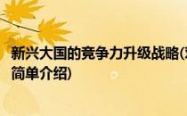 新兴大国的竞争力升级战略(对于新兴大国的竞争力升级战略简单介绍)