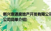 新兴壹通房地产开发有限公司(对于新兴壹通房地产开发有限公司简单介绍)