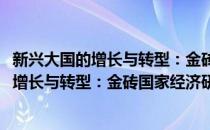 新兴大国的增长与转型：金砖国家经济研究(对于新兴大国的增长与转型：金砖国家经济研究简单介绍)