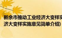 新余市推动工业经济大变样实施意见(对于新余市推动工业经济大变样实施意见简单介绍)