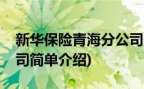 新华保险青海分公司(对于新华保险青海分公司简单介绍)