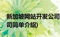 新加坡网站开发公司(对于新加坡网站开发公司简单介绍)