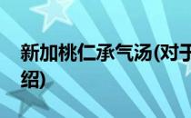 新加桃仁承气汤(对于新加桃仁承气汤简单介绍)