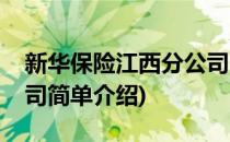 新华保险江西分公司(对于新华保险江西分公司简单介绍)