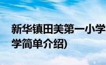 新华镇田美第一小学(对于新华镇田美第一小学简单介绍)