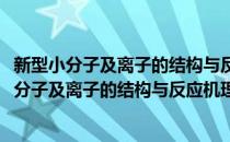 新型小分子及离子的结构与反应机理的理论研究(对于新型小分子及离子的结构与反应机理的理论研究简单介绍)