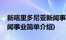 新喀里多尼亚新闻事业(对于新喀里多尼亚新闻事业简单介绍)