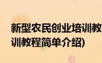 新型农民创业培训教程(对于新型农民创业培训教程简单介绍)