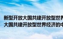 新型开放大国共建开放型世界经济的中国选择(对于新型开放大国共建开放型世界经济的中国选择简单介绍)