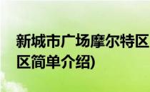 新城市广场摩尔特区(对于新城市广场摩尔特区简单介绍)