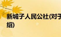 新城子人民公社(对于新城子人民公社简单介绍)