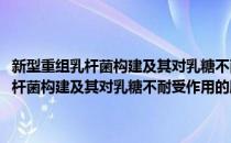 新型重组乳杆菌构建及其对乳糖不耐受作用的肠道机制(对于新型重组乳杆菌构建及其对乳糖不耐受作用的肠道机制简单介绍)