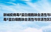 新城疫病毒F蛋白细胞融合活性与非活性区域的精确定位(对于新城疫病毒F蛋白细胞融合活性与非活性区域的精确定位简单介绍)