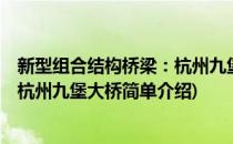 新型组合结构桥梁：杭州九堡大桥(对于新型组合结构桥梁：杭州九堡大桥简单介绍)