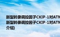 新型转录调控因子CKIP-1对ATM的调控作用及其生理功能的研究(对于新型转录调控因子CKIP-1对ATM的调控作用及其生理功能的研究简单介绍)