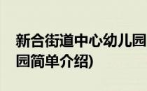 新合街道中心幼儿园(对于新合街道中心幼儿园简单介绍)