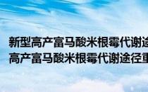 新型高产富马酸米根霉代谢途径重构及其机理研究(对于新型高产富马酸米根霉代谢途径重构及其机理研究简单介绍)