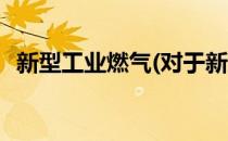 新型工业燃气(对于新型工业燃气简单介绍)