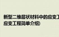 新型二维层状材料中的应变工程(对于新型二维层状材料中的应变工程简单介绍)