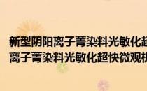 新型阴阳离子菁染料光敏化超快微观机理研究(对于新型阴阳离子菁染料光敏化超快微观机理研究简单介绍)