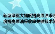 新型聚驱大幅度提高原油采收率关键技术(对于新型聚驱大幅度提高原油采收率关键技术简单介绍)