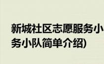 新城社区志愿服务小队(对于新城社区志愿服务小队简单介绍)