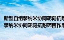 新型自组装纳米协同靶向抗耐药菌作用的研究(对于新型自组装纳米协同靶向抗耐药菌作用的研究简单介绍)