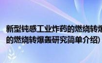 新型钝感工业炸药的燃烧转爆轰研究(对于新型钝感工业炸药的燃烧转爆轰研究简单介绍)