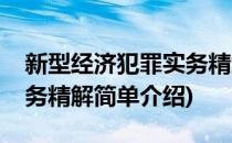 新型经济犯罪实务精解(对于新型经济犯罪实务精解简单介绍)