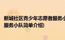 新城社区青少年志愿者服务小队(对于新城社区青少年志愿者服务小队简单介绍)