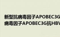 新型抗病毒因子APOBEC3G抗HBV的实验研究(对于新型抗病毒因子APOBEC3G抗HBV的实验研究简单介绍)