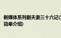 新媒体系列剧夫妻三十六记(对于新媒体系列剧夫妻三十六记简单介绍)