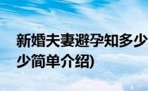 新婚夫妻避孕知多少(对于新婚夫妻避孕知多少简单介绍)
