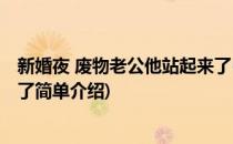 新婚夜 废物老公他站起来了(对于新婚夜 废物老公他站起来了简单介绍)