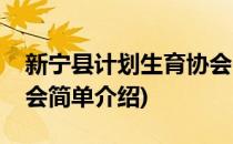 新宁县计划生育协会(对于新宁县计划生育协会简单介绍)